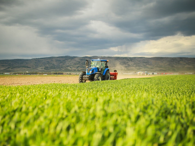 Agriculture-&-Farming